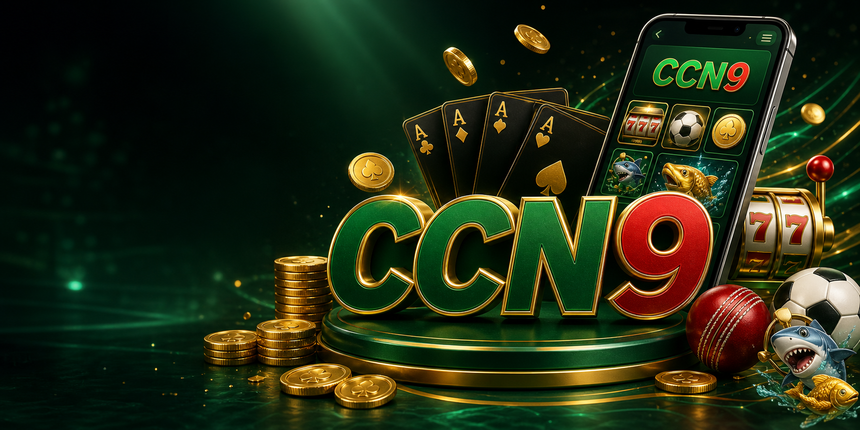 CCN9 বাংলা গাইড